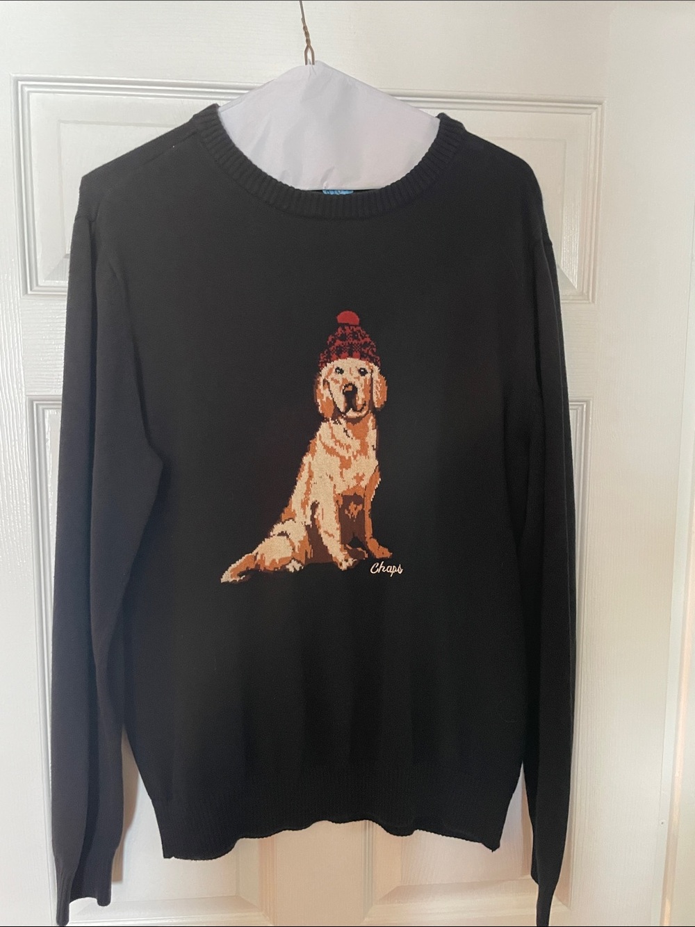 Chaps Sweater